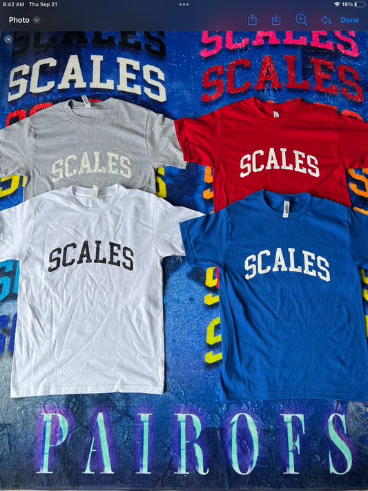 Why You Should Invest in a Discounted Scales Tee