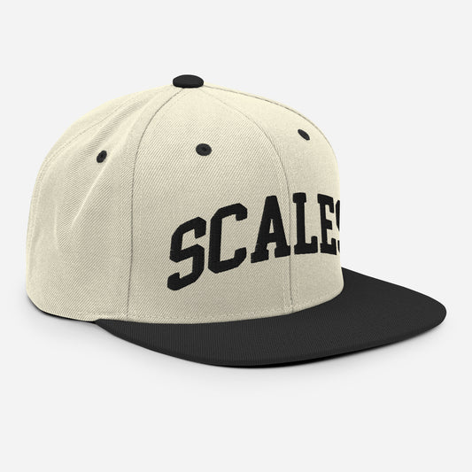 SCALES Vintage Snapback Hat